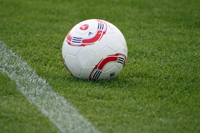 深圳球迷為慶祝巴薩主席巴托梅烏下課舉行歡聚會.