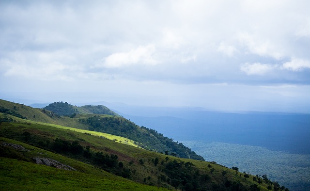 吉迪超远三分锁定胜局，湖人117-119惜败公牛，球员评分：里夫斯满分，詹姆斯仅3.0分.