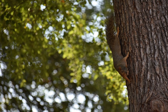 建立信心 建立信心