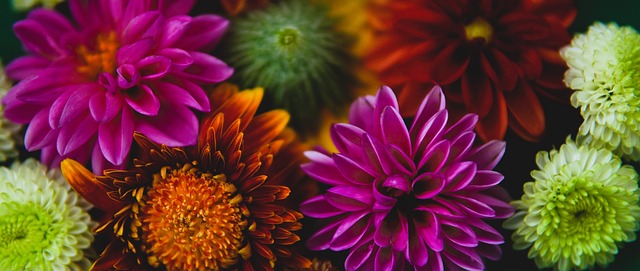 亚冠精英联赛战火再燃！上海海港VS光州FC，谁能.