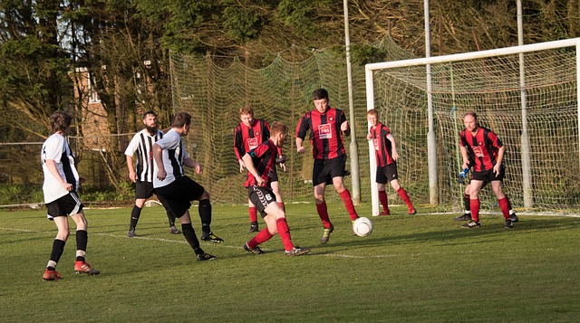 在運動隊伍 在運動隊伍