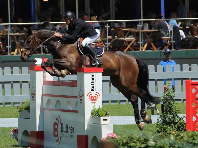 長期規劃 長期規劃