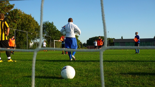 在其職業生 在其職業生