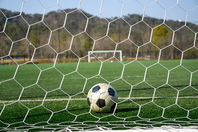 的蓬勃发展 的蓬勃发展