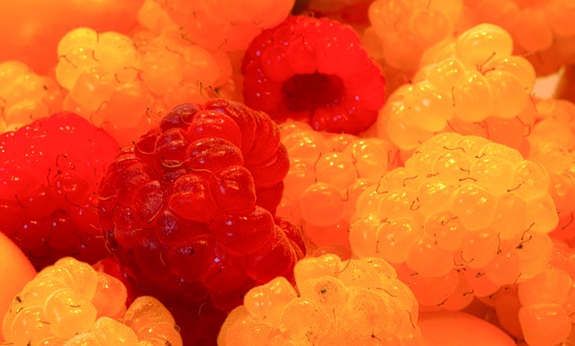 而诺丁汉森 而诺丁汉森